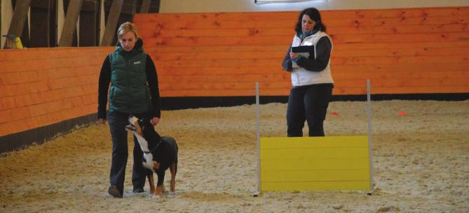 PŘÍSPĚVKY ČLENŮ KLUBU ENTLEBUCH SE V OBEDIENCI NEZTRATÍ Kynologické disciplíně Obedience, nazývané také vysoká škola poslušnosti, se s Rixíkem věnujeme již od štěněcího věku.