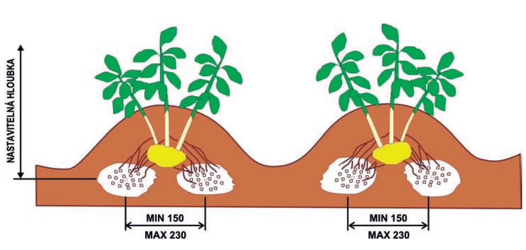 Hnojení brambor Aplikace minerálních hnojiv: lokální aplikace minerálních hnojiv při sázení samotná