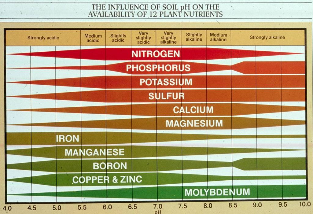 ph půdy Půdní druh Orná půda Zajištění živin pro rostlinu vyžaduje zhodnocení ph Extrémní ph snižuje využití živin. Optim.