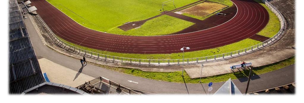 - individuální dotace: sportovní akce, významné akce, podpora klubů a sportovců, podpora vrcholového a výkonnostního sportu (mimo sportovní fond) - b) Přímá finanční podpora sportovní fond Správní