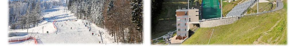 Městské společnosti spravující městská sportovní zařízení Sportovní areál Liberec, s.r.o. (SAL) Sportovní areál Ještěd, a.