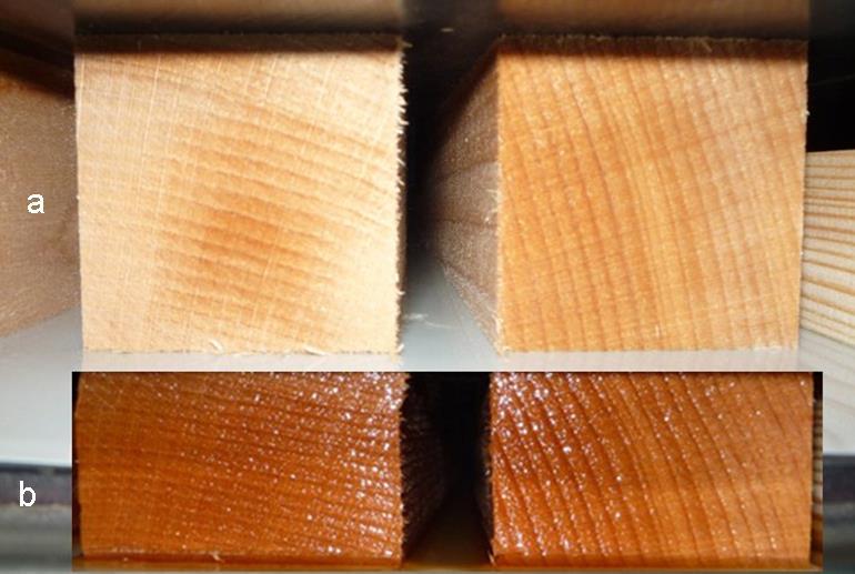 Bukové dřevo lisované ve směru kolmém na dřevní vlákna a)