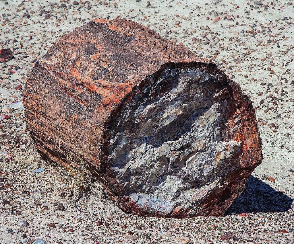 Meteorit Podle způsobu vzniku můžeme rozdělit na: vyvřelé (magmatické), vzniklé yy utuhnutím (krystalizací) magmatu; usazené (sedimentární), které yy se vytvořily zejména usazováním (sedimentací)