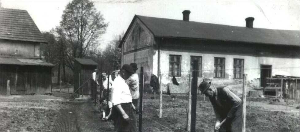 72/02 V roce 1938 celá řada funkcionářů družstva musela po obsazení obce Poláky Dětmarovice opustit. Za německé okupace byla prodejna v domě čp. 25 zlikvidována a fungoval pouze obchod druhý.