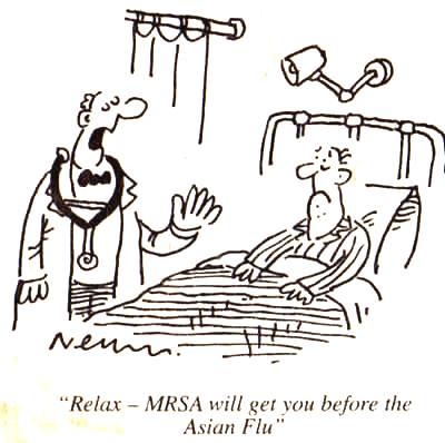 MRSA, nebo ptačí chřipka?