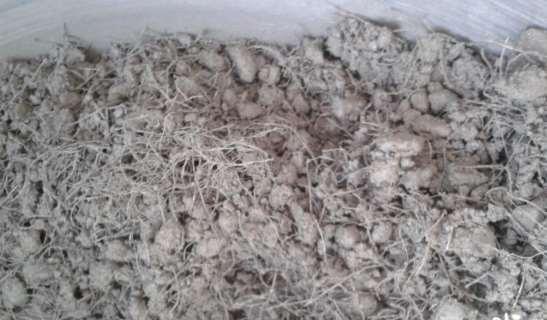 Recyklace Tabulka 4-2 Složení směsi pro tlačený prvek Složka Dávkování Recyklát 1 650 kg/m 3 Cement 260 kg/m 3 Vlákna 9,1 kg/m 3 Voda 150 l/ m 3 Směs (obrázek 4-5) byla vyráběna v míchačce s nuceným