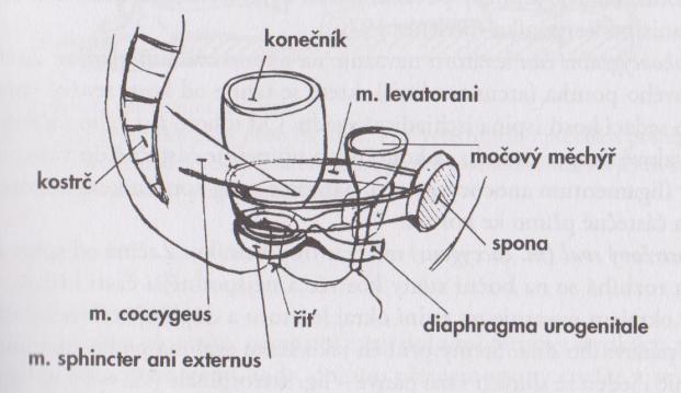 Obr. č.