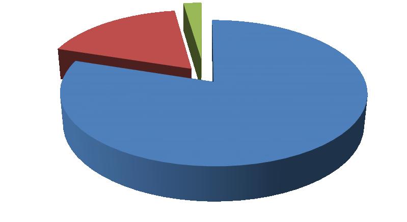 Debetní karty představují 80 % z celkového počtu vydávaných karet, kreditní karty 17, 70 % a chargé karty 2,30 %.