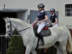 všestrannost Borová ZP spřežení Těšánky 16 17 CSIO La Baule Přemysl