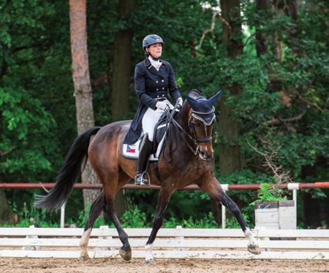 10 11 Světové jezdecké hry Tryon Irma Denis / Denisa září 2018 / 37.