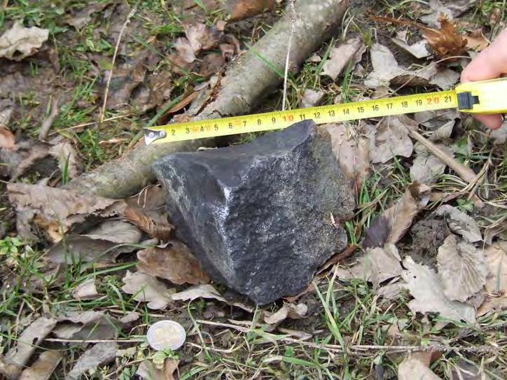 Od 20. 3. 2010 do mája 2012 bolo nájdených 78 úlomkov meteoritu od hmotnosti 0,5 g po 2,19 kg. Ide o najbežnejší kamenný meteorit chondrit typu H5.