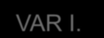 VAR I.