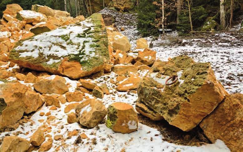 Zvětrávání povrchu skal, skalní nestability a řícení Ptala se Božena Valentová, odpovídal a fotil iří Adamovič geolog, který se věnuje geomorfologii pískovcových skalních oblastí.