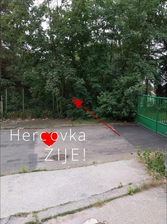 Téměř 260 m2 dnes velice zanedbaného koutu bychom rádi přeměnili na místo, kde