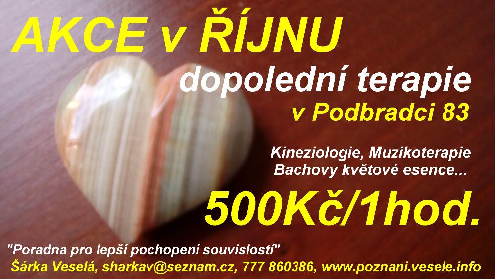 INZERCE DOMÁCÍ VČELÍ MED Prodám letošní květový