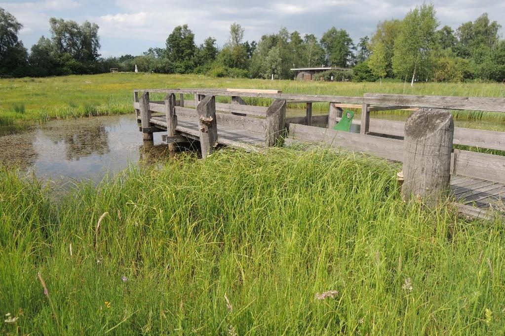 setkání, exkurze - Rekultivované plochy