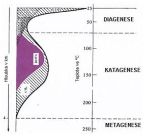 anaerobních bakterií se odbourávají části odumřelých mikroorganizmů na plyny, vodu a ve vodě rozpustné látky, které se odplaví. Hůře odbouratelné části těchto organismů, např.