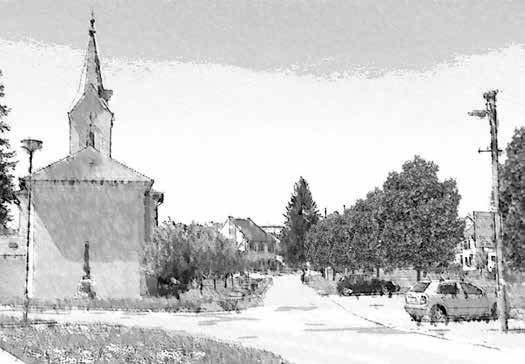 A ve druhém případě jsou obavy rovněž zbytečné, neboť stromy za pomoci arboristů nepřerostou výšku sloupů veřejného osvětlení, které domy rovněž nestíní, vysvětlil Kukla.