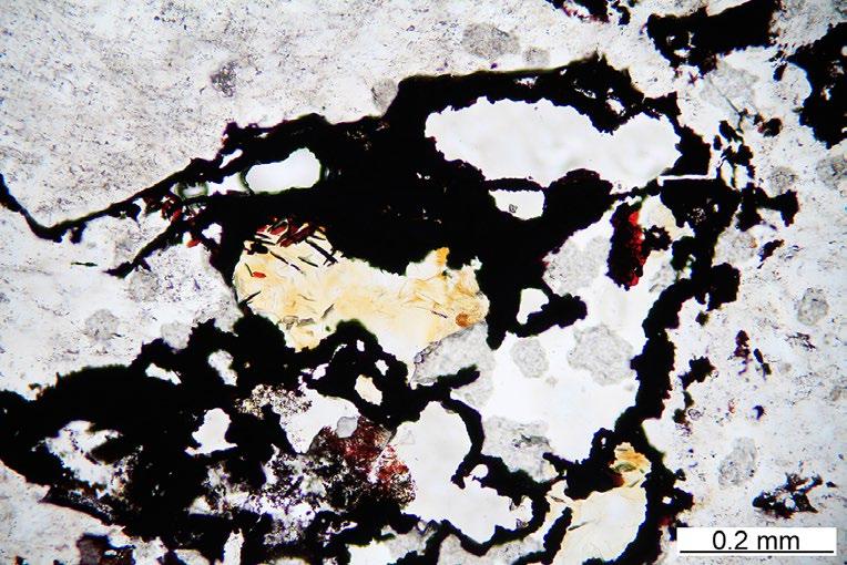 Vzorky primární mineralizace byly analyzovány i klasickými chemickými metodami na obsahy vybraných prvků.