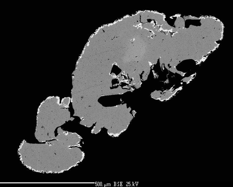 Bull Mineral Petrolog 25, 1, 2017. ISSN 2570-7337 (print); 2570-7345 (online) 41 Obr. 14 Zlato s patrnou difúzní zonálností a lemy sekundárního zlata. BSE foto R. Škoda.