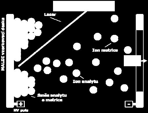 laserem za účasti matrice - MALDI Karas, M.; Bachmann, D.; Bahr, U.; Hillenkamp, F. Int. J. Mass Spectrom. Ion Proc. 1987, 78, 53-68. Tanaka, K.; Waki, H.; Ido, Y.
