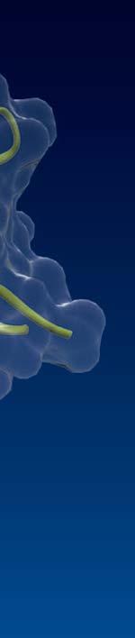 BIOTECHNOLOGY
