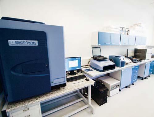PCR (qpcr).