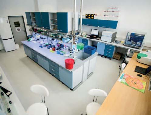 variation analysis. 9,216 reactions can be processed in a single run.