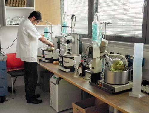 We contribute to clients workflow from extraction of samples, to qpcr, data analysis and any downstream applications.