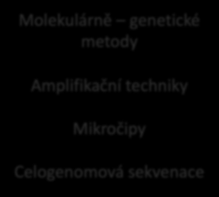 Nové diagnostické metody v