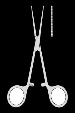Trichogram diagnostická epilace