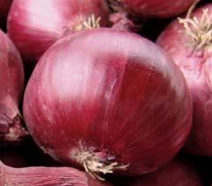 to mechanical damage 8 for fresh market and for storage 8 for growing from seed 8 high yield; excellent storage ability 8 mid-late variety; 130 135 days 8 onion weight 150 g 8
