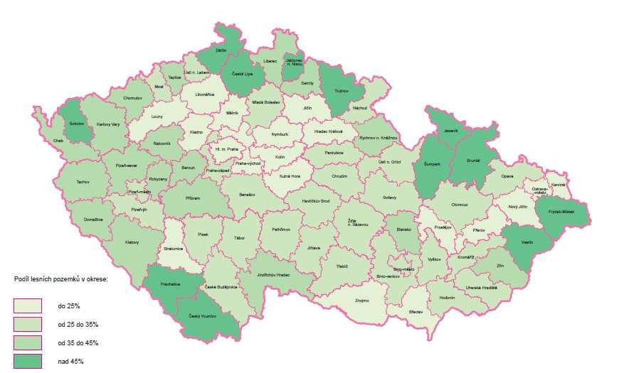 zastupujících naši republiku v celosvětové kolekci nejvýznamnějších stromů. Po rozlámání v roce 1997 byly jednotlivé kmeny i zbylé pahýly konzervovány a koruna lípy zajištěna.