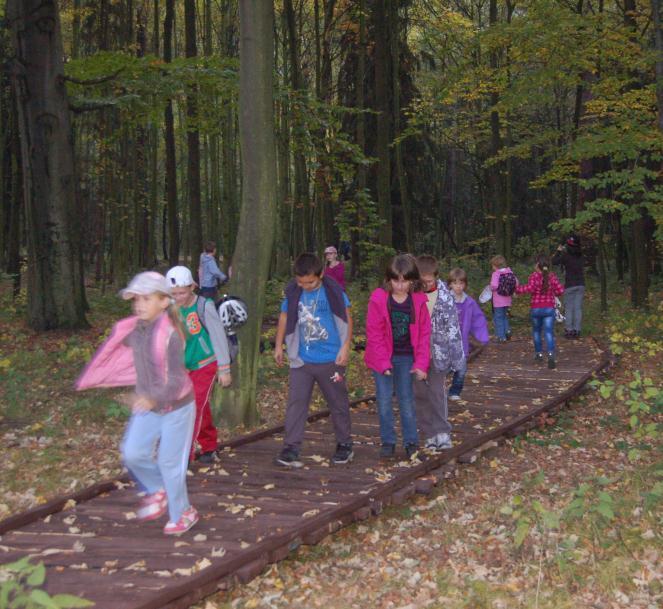 Bělský les bez bariér V rámci projektu rozšiřování výukového areálu Lesní školy v Bělském lese a jeho zpřístupňování handicapovaným občanům vybudoval Moravský lesnický klastr, o. s.