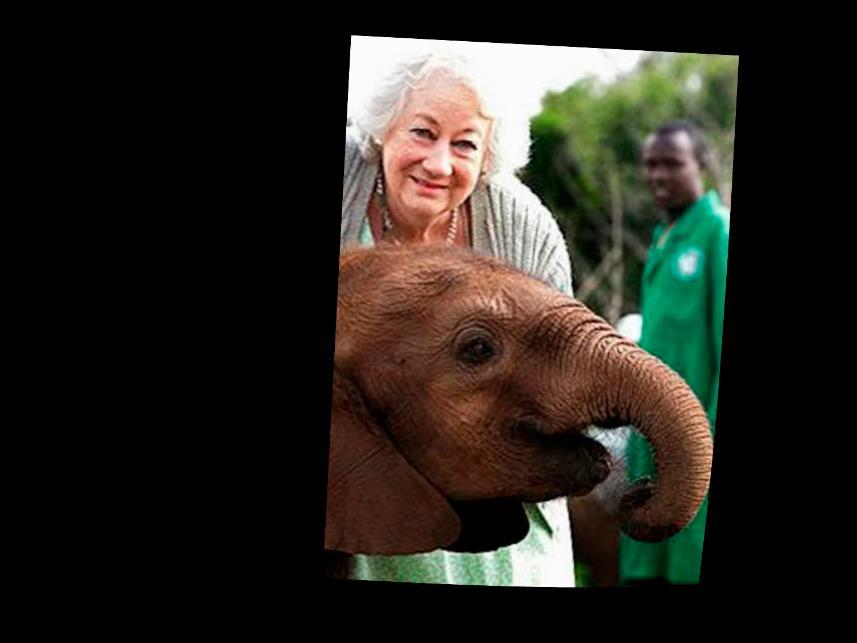 Dr. Dame Daphne Sheldrick, DBE, MDB, MBS, DVMS, Chair of the David Sheldrick Wildlife Trust, Nairobi, Kenya trpí