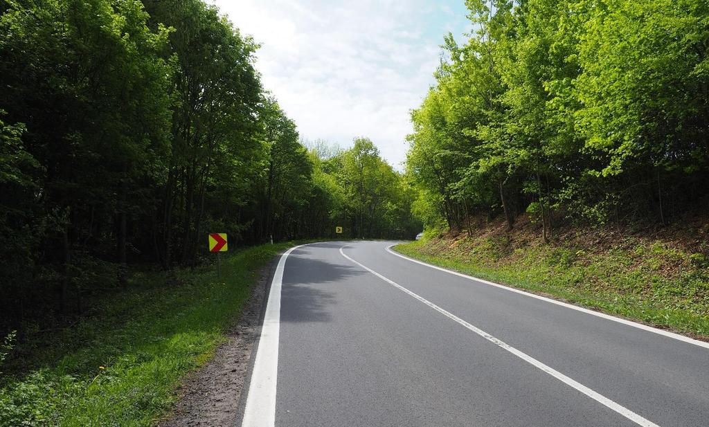 Úsek silnice II/257 nedaleko Žichova opatření se