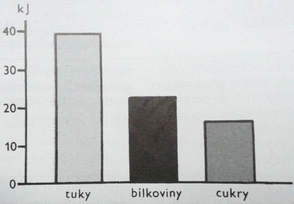 Význam lipidů Zdroj a rezerva energie - nejvýznamnější zdroj energie v potravě při malém objemu (potravy) (1 g = 9 kcal = 38 kj) energie v 1 g (Machová, 2002) Strukturní funkce Ochranná funkce