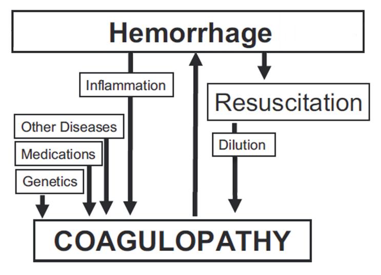 Hess et al.