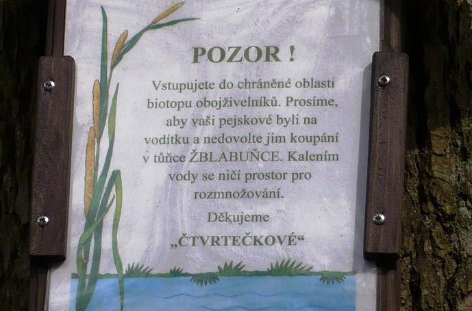 Několik desítek metrů za studánkou Čumperkou, vytvořili