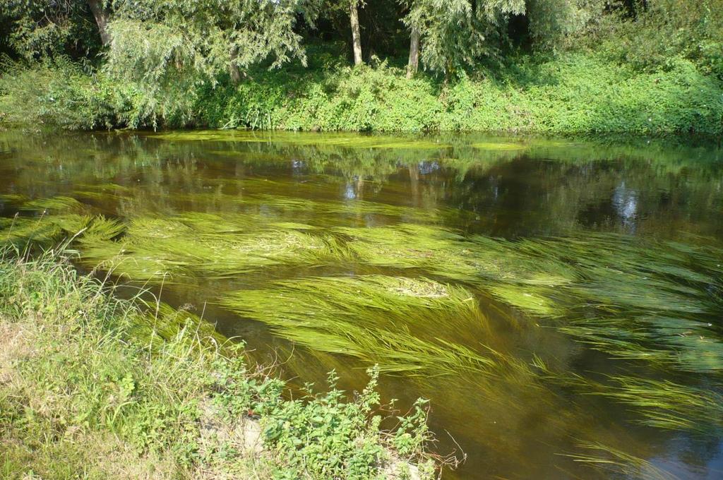 Září 6.9.