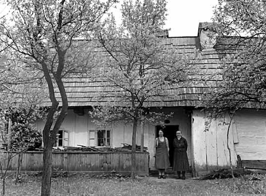 Jesenick, Plze, Bolevec, okres Plze-msto. 06.03.2020 Jesenick, Rapotn, okres umperk. 24.01.2020 Jesenick, Hanuovice, okres umperk. 27.02. Pronajem byt 2+1 sumperk jesenicka | bazar a inzerce sacicrm.info