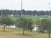 Načež je začal sbírat jako houby po dešti. Fenerbahce ovládlo Ligu mistryň jedinkrát v roce 2012, přitom se svou extrémní silou může klidně panovat každou sezónu.