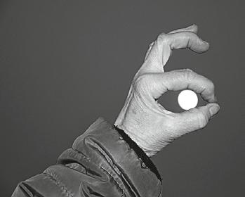z města a regionu Sloupové měli ve svém znaku psa psa hlídacího symbol věrnosti, ale i lovu nebo plodnosti. A také přirozené smrti. Šlechtici, kteří měli na náhrobku psa, nezemřeli v boji.