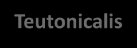 Villa Nucum Teutonicalis Aj toto je jeden zo starých názvov Horných Orešian.