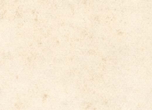 účinnými mořidly podle přání odběratele [ možnost dodání osiv v pytlích i velkoobjemových vacích [ zajišťujeme dopravu osiv k odběrateli [ poskytujeme poradenskou službu k odrůdové skladbě, množení a
