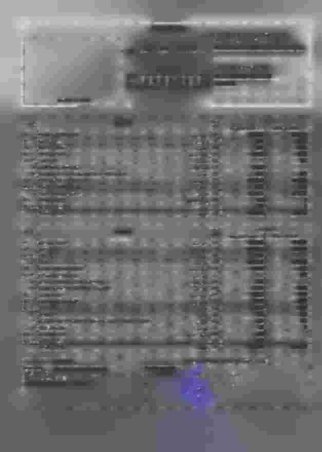 ROZVAHA 3 1.12.2017 ROZVAHA dle 504/2002 Sb. ve znéní pro rok 2016 Obchodní firma nebo název účetní jednotky Aliance žen s 