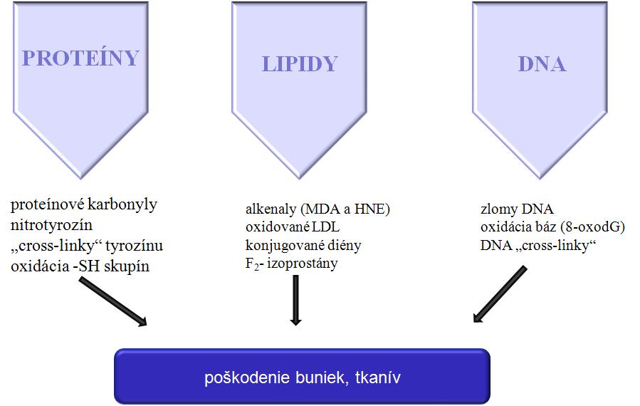 OXIDAČNÉ