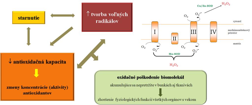 STARNUTIE (Sivoňová a kol.