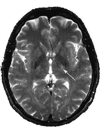 Obrázek 4.