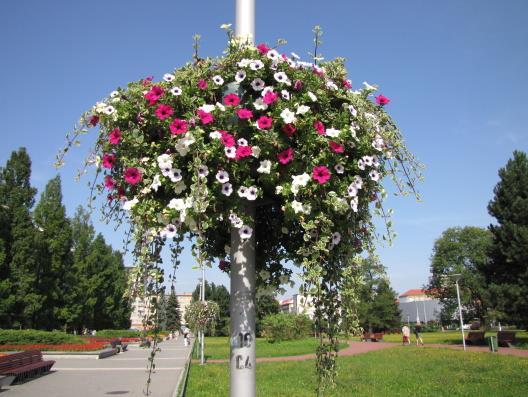 V Havířově dne 31.